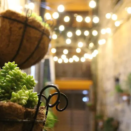 Briogna By Maravigghia *